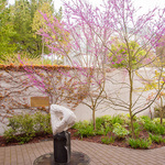 Berlekamp Garden at MSRI