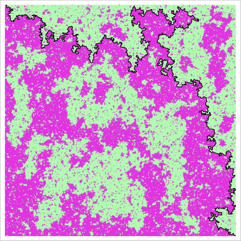Isingcriticalboundary